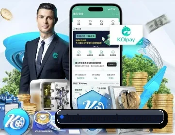 完美体育 APP 深度功能(WANMEI)